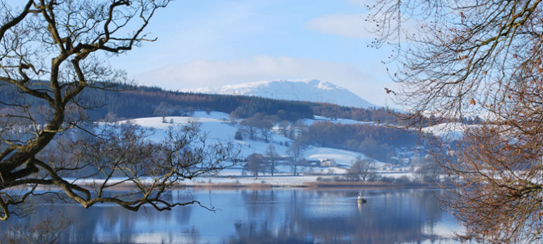 Esthwaite Lake Near Sawrey Holiday Let